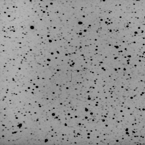 C/2024 L5 (ATLAS)