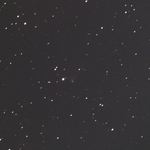 C/2023 V4 (Camarasa-Duszanowicz)