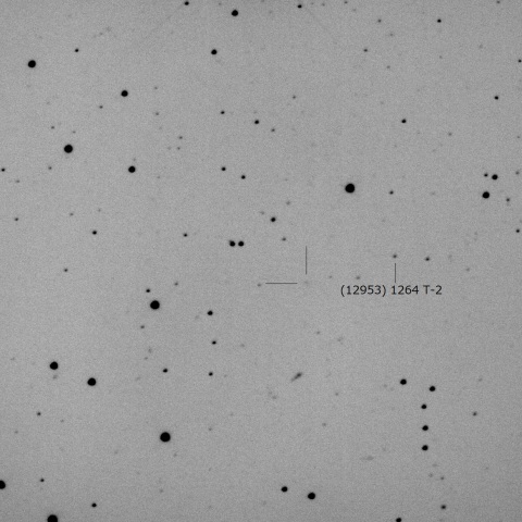 54P/de Vico-Swift-NEAT