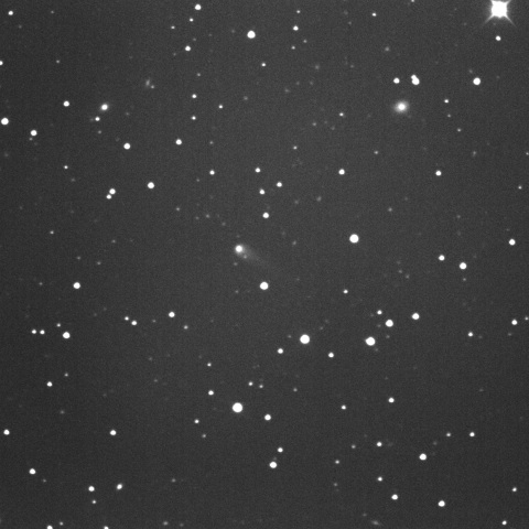 C/2022 N2 (PanSTARRS) 