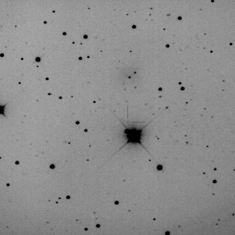 P/2024 Q1 (PanSTARRS)