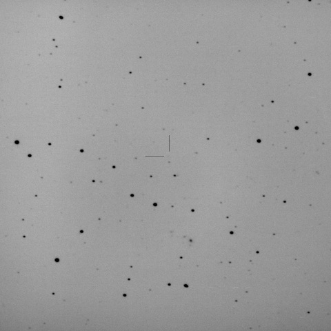 493P/LONEOS