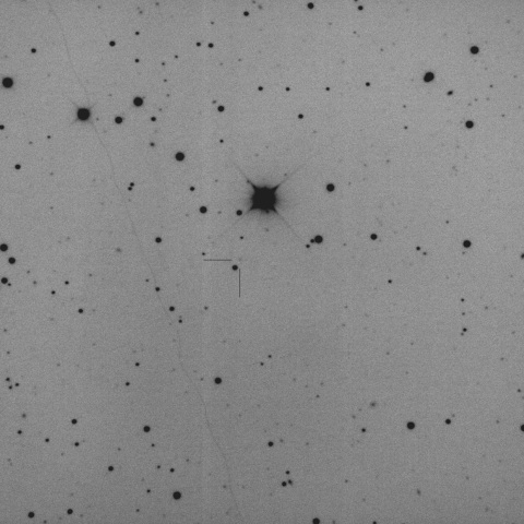 C/2024 V1 (Borisov)