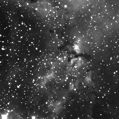 バラ星雲を通過するC/2022 QE78(ATLAS)