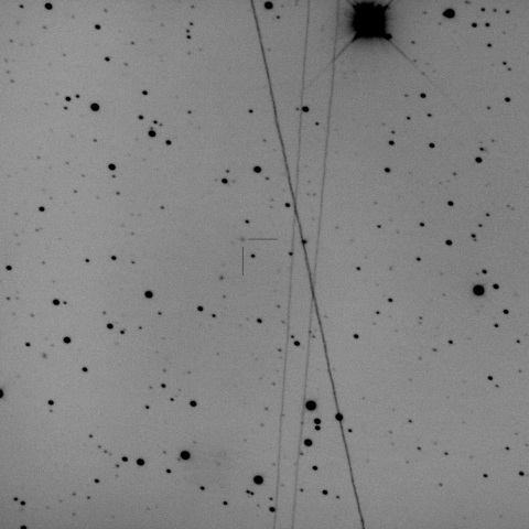 C/2023 R1 (PanSTARRS)