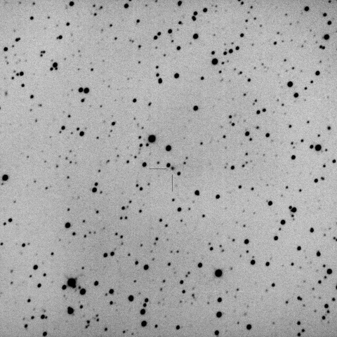 C/2023 T3 (Flus)