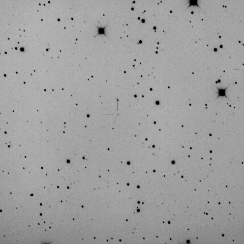 C/2024 N4 (Sarneczky)