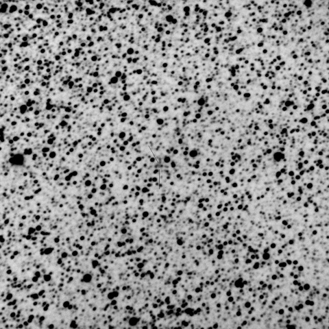 13P/Olbers