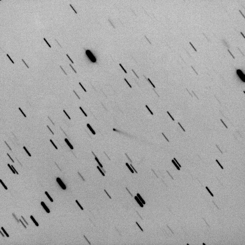 P/2021 N1 (ZTF)