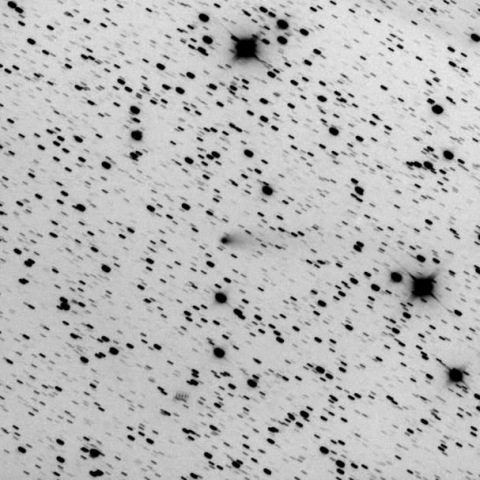 260P/McNaught