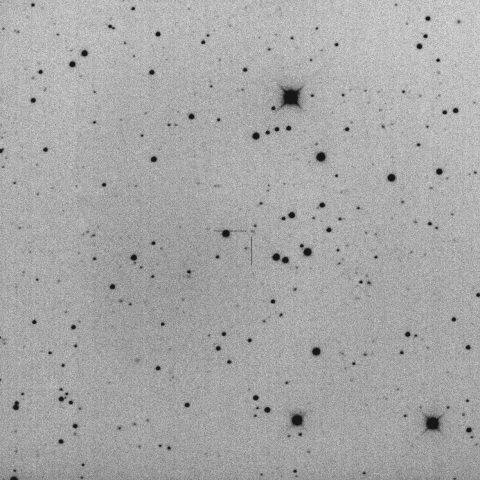 P/2026 P1 (PanSTARRS)
