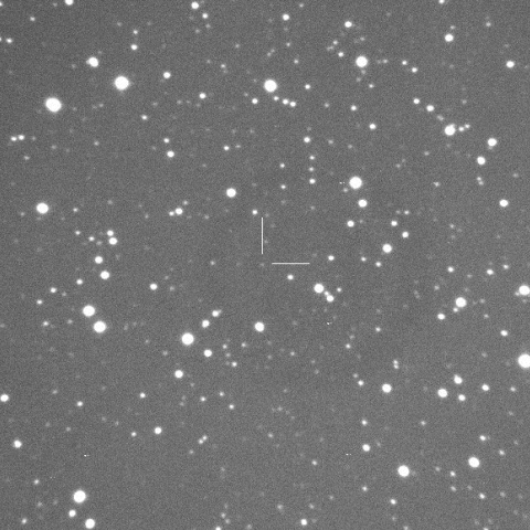 オリオン座わい新星