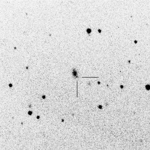 ASASSN-14co（超新星）