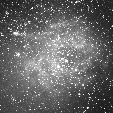 バラ星雲とOukaimeden彗星