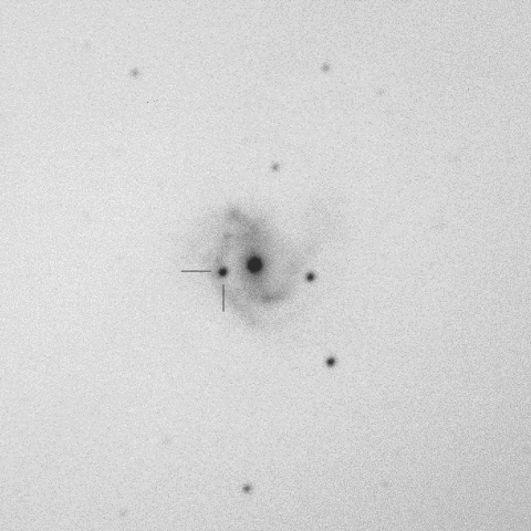 SN2014dt in M61