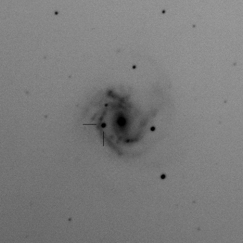 SN2014dt in M61