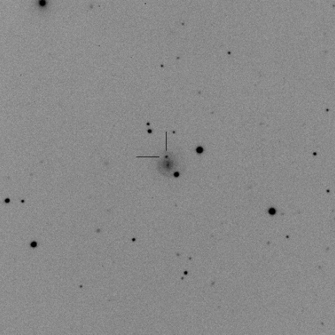 PSN J11023520+5035094 in UGC6109