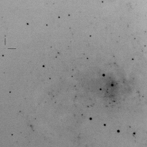 TCP J01342239+3042118