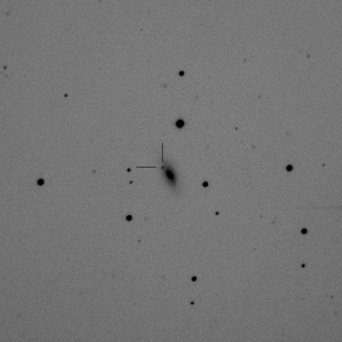 PSN J13522411+3941286 in NGC5337