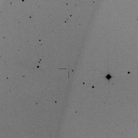 P/2015 C1/TOTAS-Gibbs