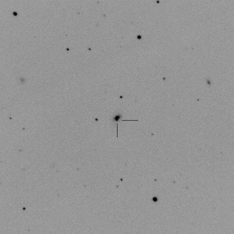 ASASSN-14cq（超新星）