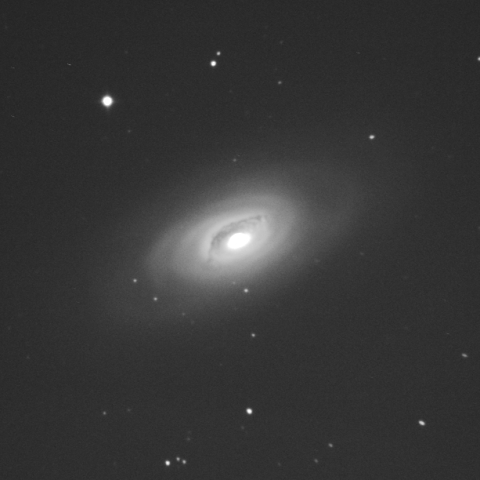 M64