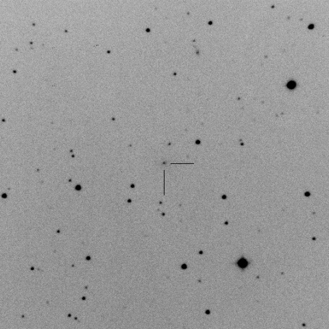 C/2011 KP36/Spacewatch