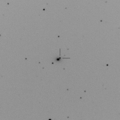 PSN J02283286+2017077 in NGC938