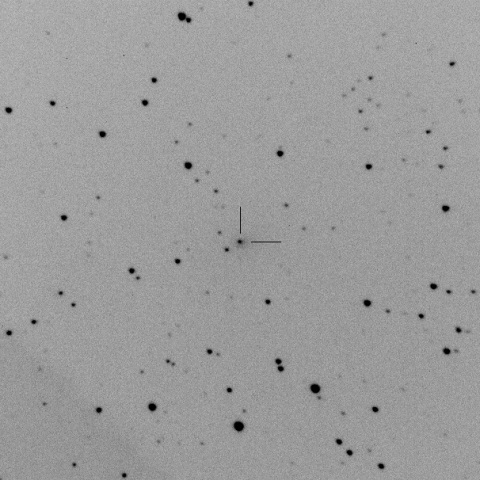 C/2011 KP36/Spacewatch