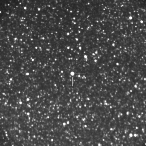 Nova Sagittarii 2015 No.3