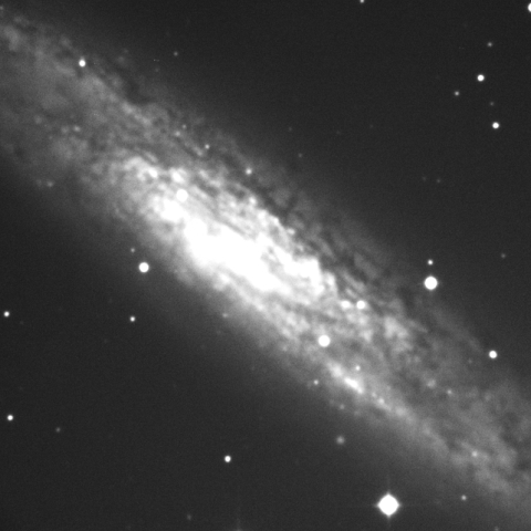 NGC253