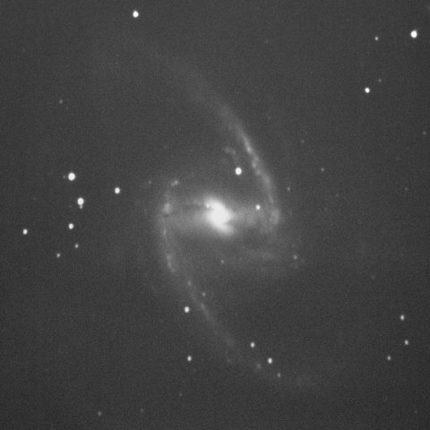 NGC1365