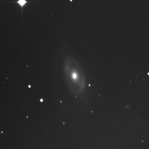 NGC1350
