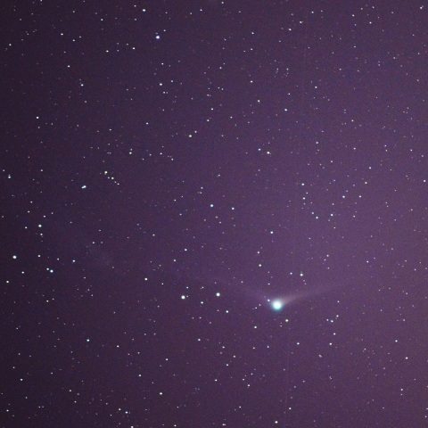 C/2013 US10/Catalina