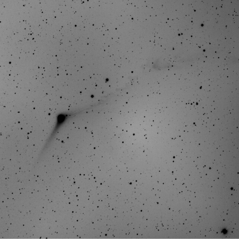 C/2013 US10/Catalina