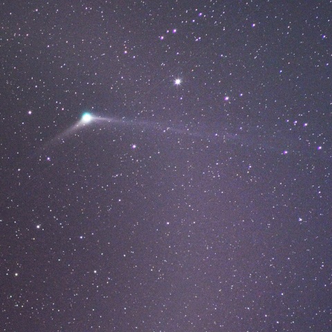 C/2013 US10/Catalina