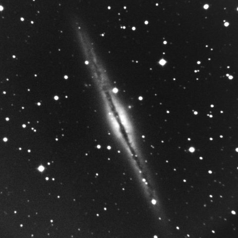 NGC891