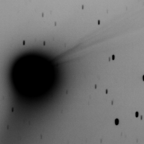 C/2013 US10/Catalina