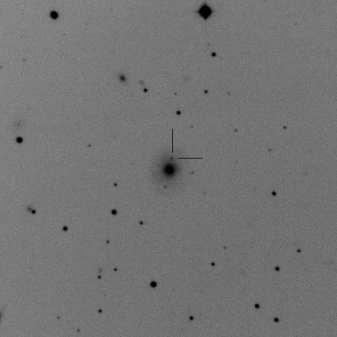 SN2015bf in NGC7653