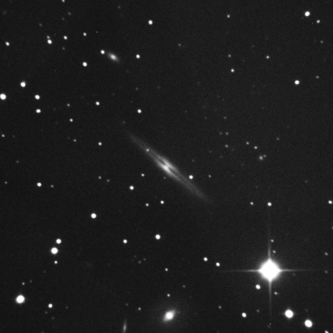 NGC973