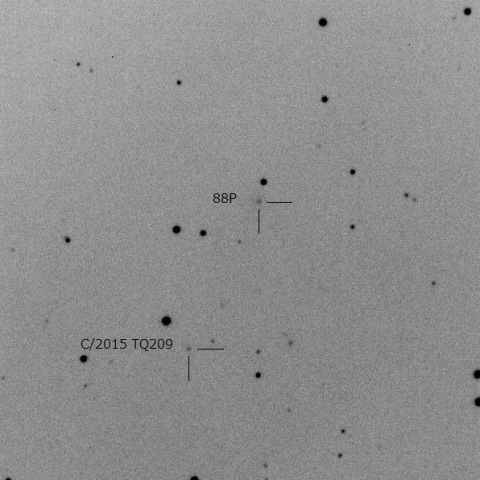 88P/Howell and C/2015 TQ209/LINEAR