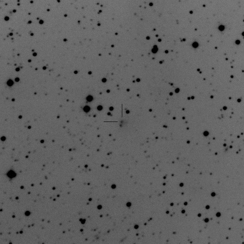 C/2014 Q2/Lovejoy