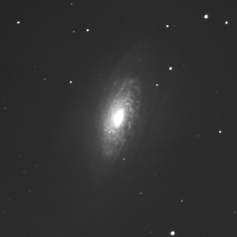 NGC3521