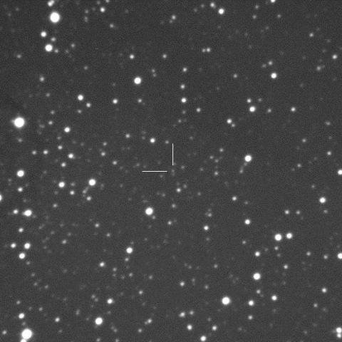 V404 Cygni