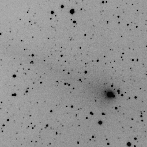 C/2013 US10/Catalina