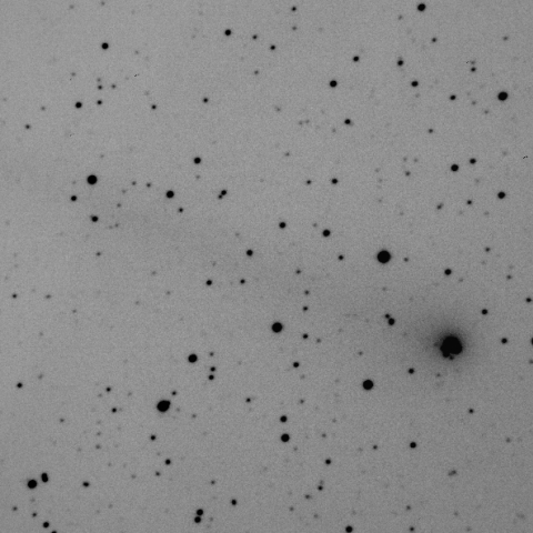 C/2013 US10/Catalina