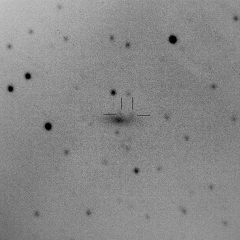 SN2016bfu & SN2016bfv