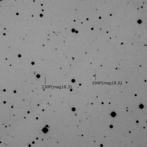 194P/LINEAR & 230P/LINEAR