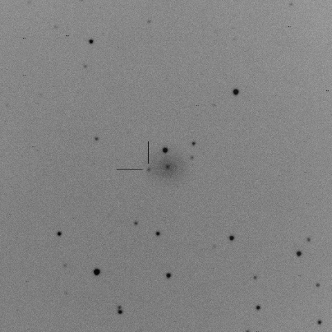 SN2016ccf in NGC2649