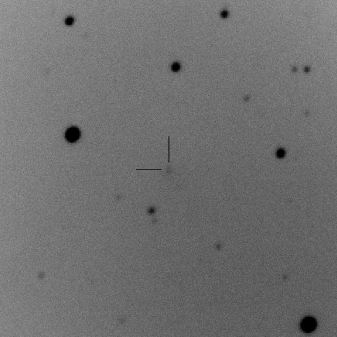 C/2011 KP36/Spacewatch